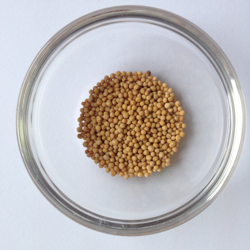 Yellow Mustard Seed... organic, excellent for cooking... poultice